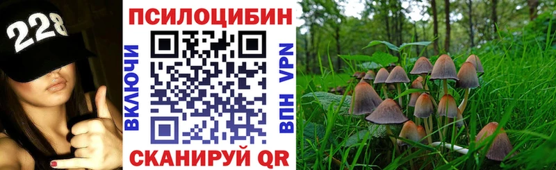 Галлюциногенные грибы MAGIC MUSHROOMS  гидра как войти  Шелехов 